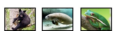 biodiversity-images
