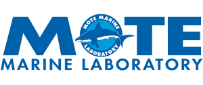 Mote_Logo